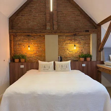 Altstadt Apartment *